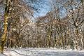 2015_02_07(0012)