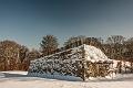 2015_02_07(0015)