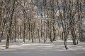 2015_02_07(0034)