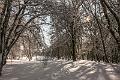 2015_02_07(0037)