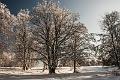 2015_02_07(0041)