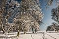 2015_02_07(0043)