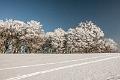 2015_02_07(0048)