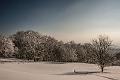 2015_02_07(0067)