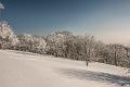 2015_02_07(0072)