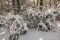 2015_02_07(0078)