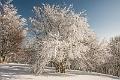 2015_02_07(0082)