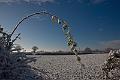 2010_11_28(067)