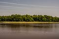 2014_06_08(0006)